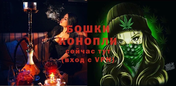 прущие крисы Вязьма